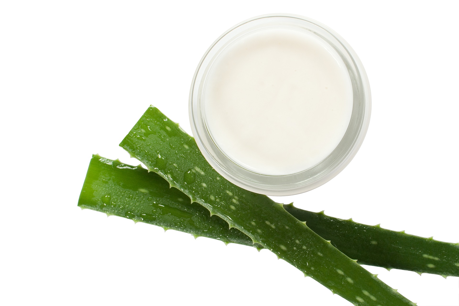 Krema od Aloe vere