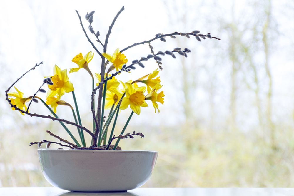 prolecna ikebana psiha zdravlje