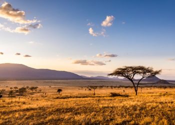 Putovanja Afrika, Lepota i zdravlje