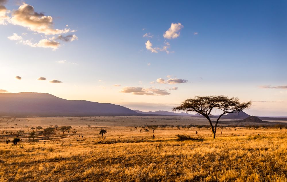 Putovanja Afrika, Lepota i zdravlje