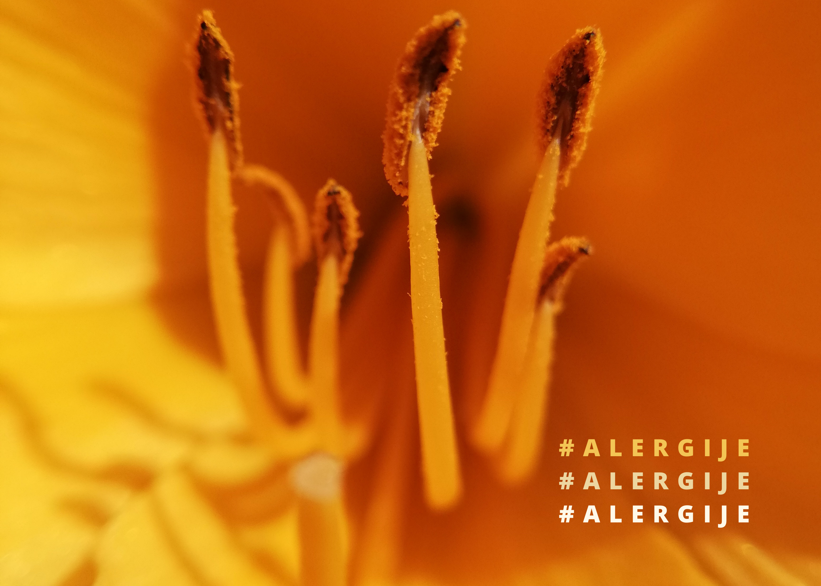 Simptomi alergija