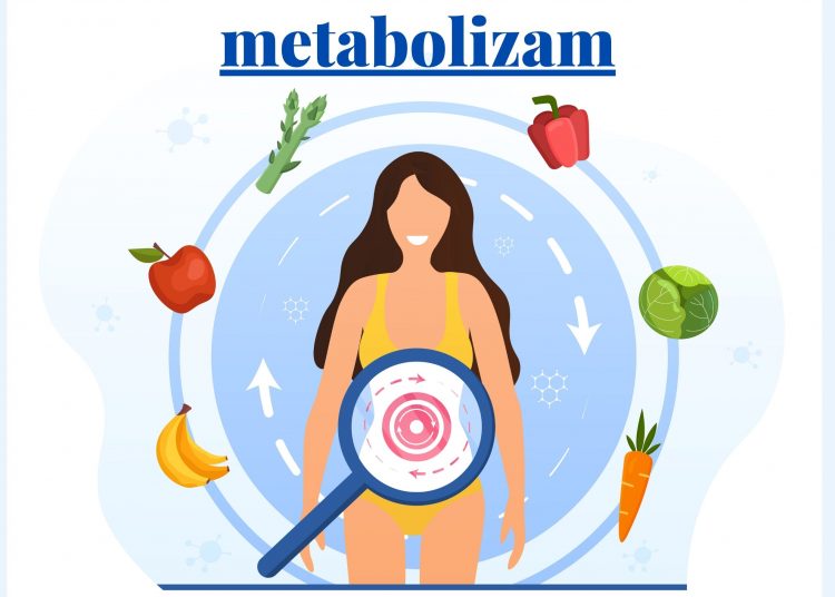 Najnovije činjenice o metabolizmu