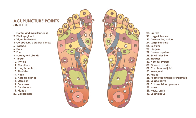Refleksologija stopala jača imunitet i smiruje nervozu: mapa za refleksologiju stopala